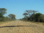 Gravel road south of Duvundu Namibia