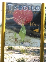 Tsodilo Hills sign, Botswana