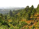 Addis Ababa from Entoto Hill