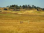 People crossing field with village in background, Ethiopia