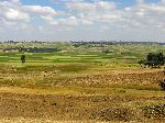 Farmland near Debre Tsege, Ethiopia