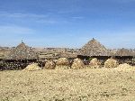 Amhara houses and haystacks, near Sulutan, Ethiopia