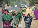 Women back carrying goods, Tilili, Ethiopia