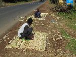 boys weaving mats, Tilili, Ethiopia