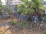 Rental bicycles, Dangla, Ethiopia