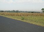 Highway 3, north of Dangla, Ethiopia