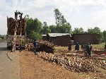 loading truck with eucalyptus poles, Ethiopia