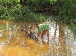 washing bicycle in stream, Merawi, Ethiopia