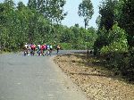 bicycle racers training ride, Highway 3, heading to Bahir Dar, Ethiopia