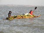 Tankwa boats (made from papyrus), Lake Tana, Ethiopia