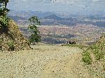 Vista, Gashena-Lalibela road, Ethiopia