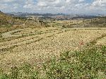 Terraced fields and vista, Gashena-Lalibela road, Ethiopia