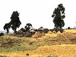 Homestead, Saalalii plateau, Gohatsion, Ethiopia