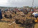 Traditional weekly market, Tilili, Ethiopia