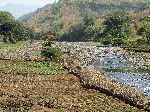 Produce farm, River, Zarima, Ethiopia