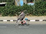 Bicyclist carrying ladder, Axum, Ethiopia