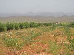 Atlas Mountains, Boumalne Dades-Tinghir road, Morocco