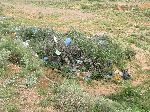 Plastic garbage, Tinghir to Tinejdad road, Morocco