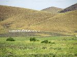 Beehives, Tinghir to Tinejdad road, Morocco