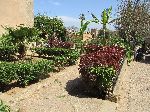 Andalusian Gardens, Kasbah of the Udayas, Rabat, Morocco
