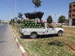 Morocco, roadside fruit vendor