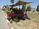 Morocco, roadside fruit vendor