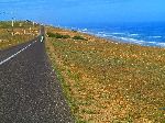 Road and ocean, Oualidia to Cape Beddouza, Morocco