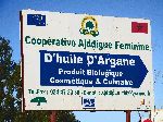 Women's Argan oil Cooperative, Morocco