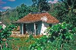 Bohio, traditional rural house, Pinar del Rio, Cuba