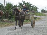 Horse cart, rural Pinar del Rio, Cuba