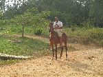 Horseman, rural Pinar del Rio, Cuba