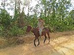 Horseman, rural Pinar del Rio, Cuba
