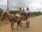 Horse cart, rural Pinar del Rio, Cuba