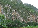 Sierra de los rganos and Sierra del Rosario, Pinar del Rio, Cuba