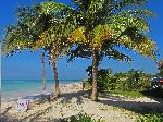 Beach of Cayo Jutias, Cuba