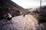 Ecuador: road to Macas Grande
