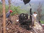 Sugar cane being crushed into juice