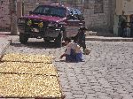 drying corn on the street
