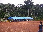 Canopy walk camp, Iwokrama Forest, Guyana