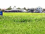 Everest Cricket Ground, Georgetown, Guyana