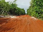 Rockstone Road, Guyana