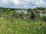 Demerara River, Linden, Guyana