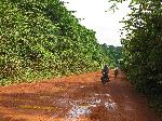 road, Iwokrama Forest, Guyana