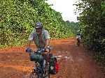 road, Iwokrama Forest, Guyana