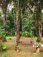 Atta Lodge, Iwokrama Forest, Guyana