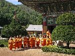 Women Buddhist Monks, Woljeongsa