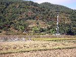 cell tower in the rice fields, Korea.