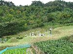 Korean burial site