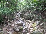 Stream, Mungyeong Saejae Provincial Park