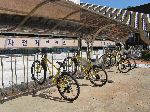 bicycle racks, Sangju Museum, Korea